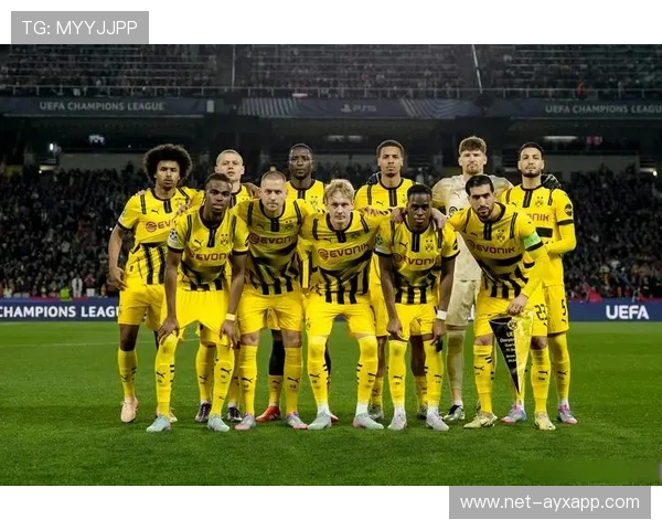 多特蒙德重点考察葡超中卫，开启新局面