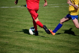 爱游戏网址登录-中超球员比赛热度曲线与表现匹配模型，中超热身赛